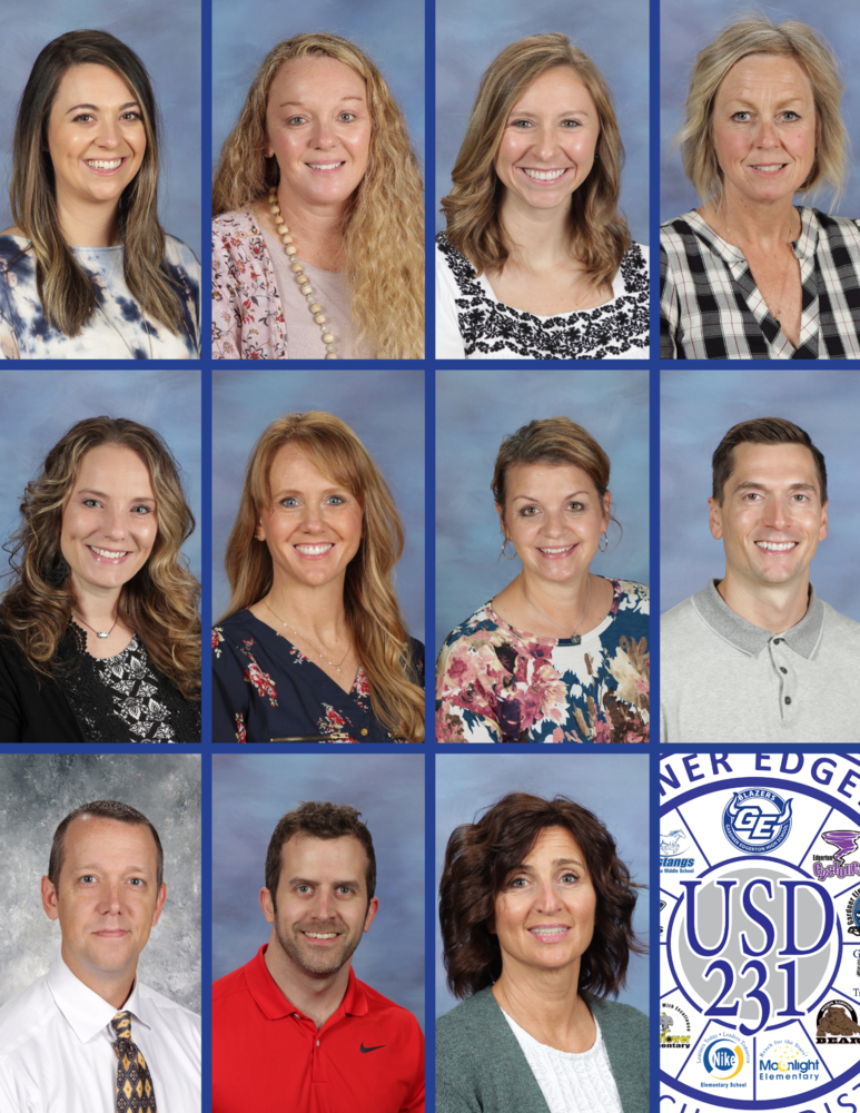 USD 231