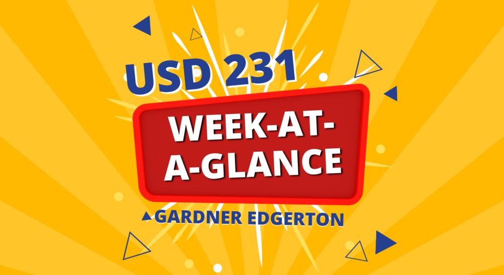 USD 231