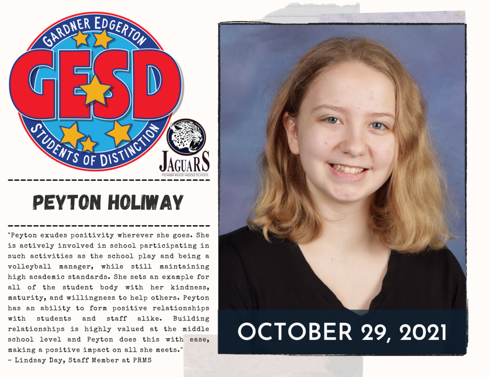 USD 231