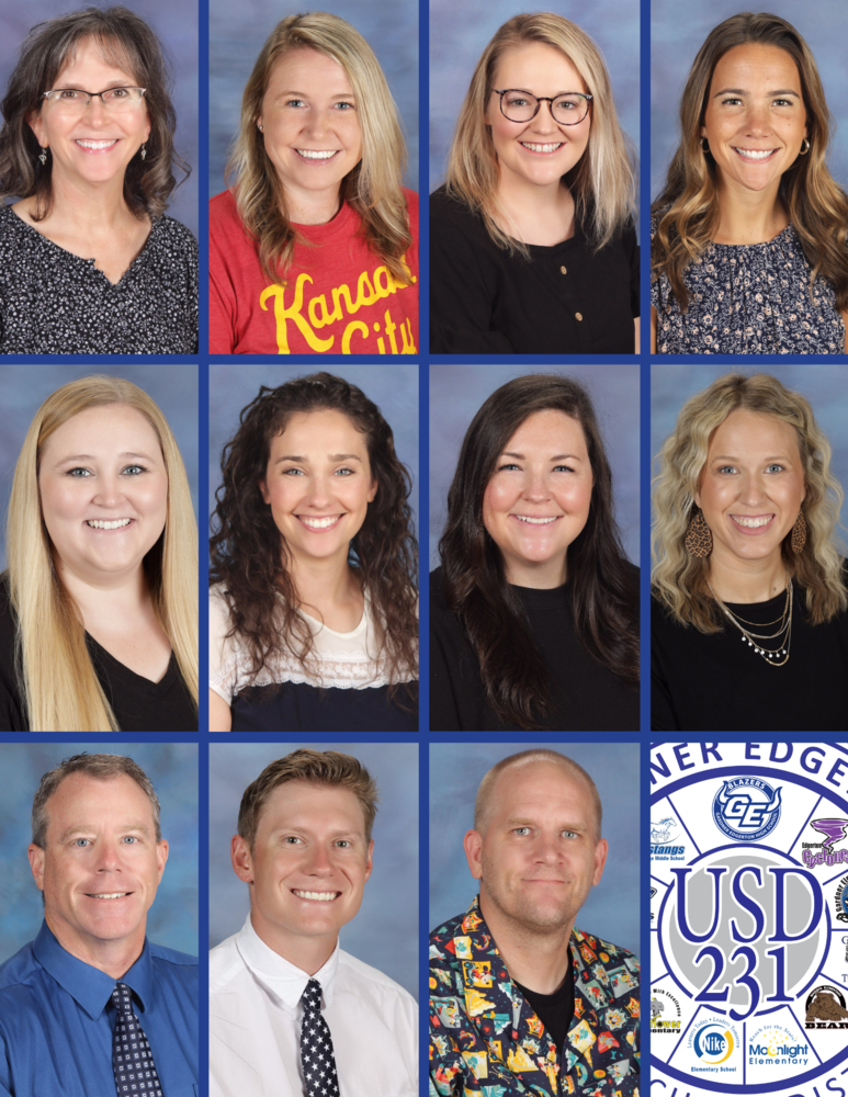 USD 231