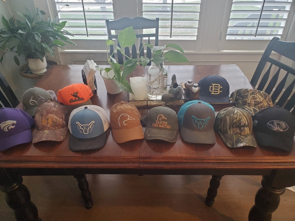 Hat day