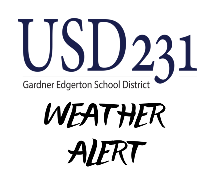 USD 231