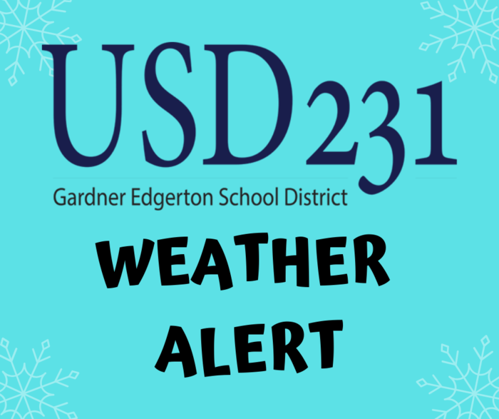 USD 231